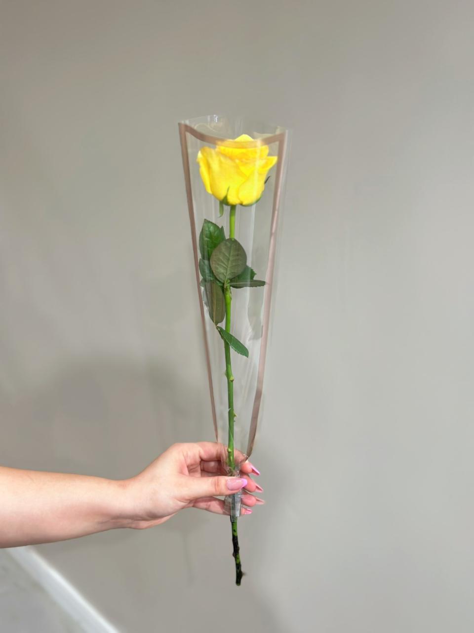 ROSA UNITARIA AMARELA - LINHA FOR�A