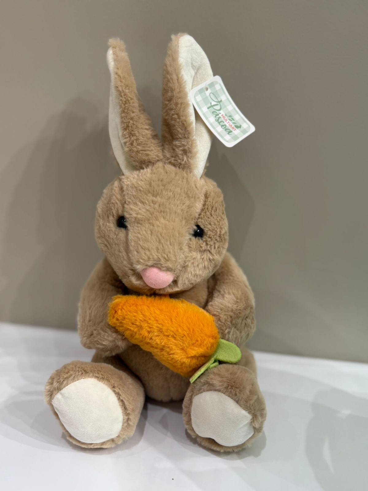 COELHINHO COM CENOURA  