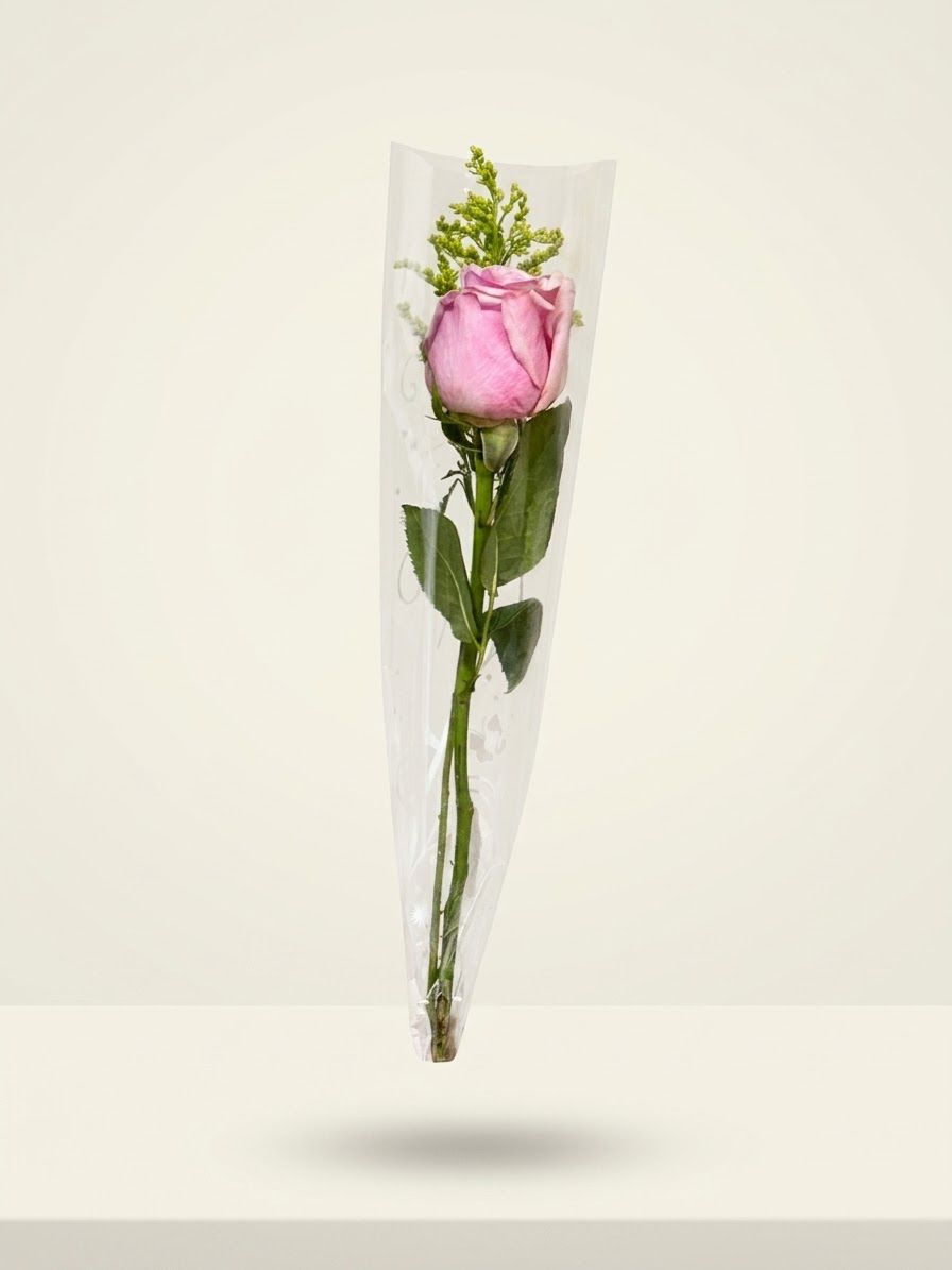 ROSA UNITARIA ROSA - LINHA DO�URA